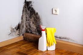 Best Industrial Mold Remediation  in Cadiz, KY